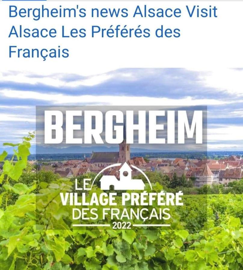 Holiday home La Maison Des Tanneurs Ribeauville (Haut-Rhin)