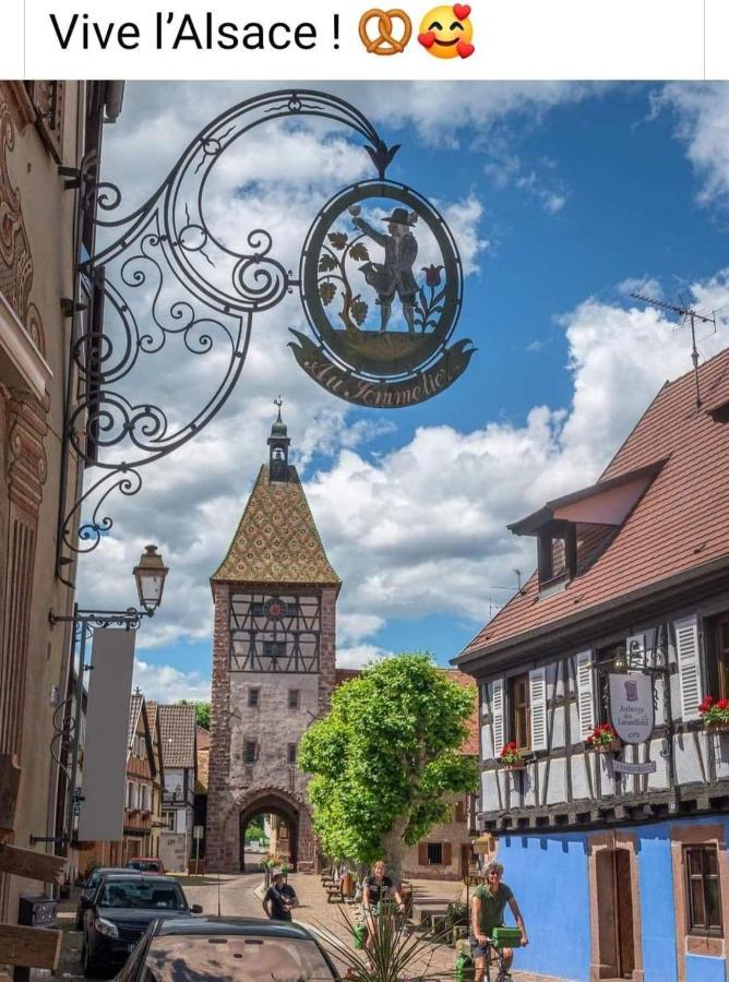 La Maison Des Tanneurs Ribeauville (Haut-Rhin)