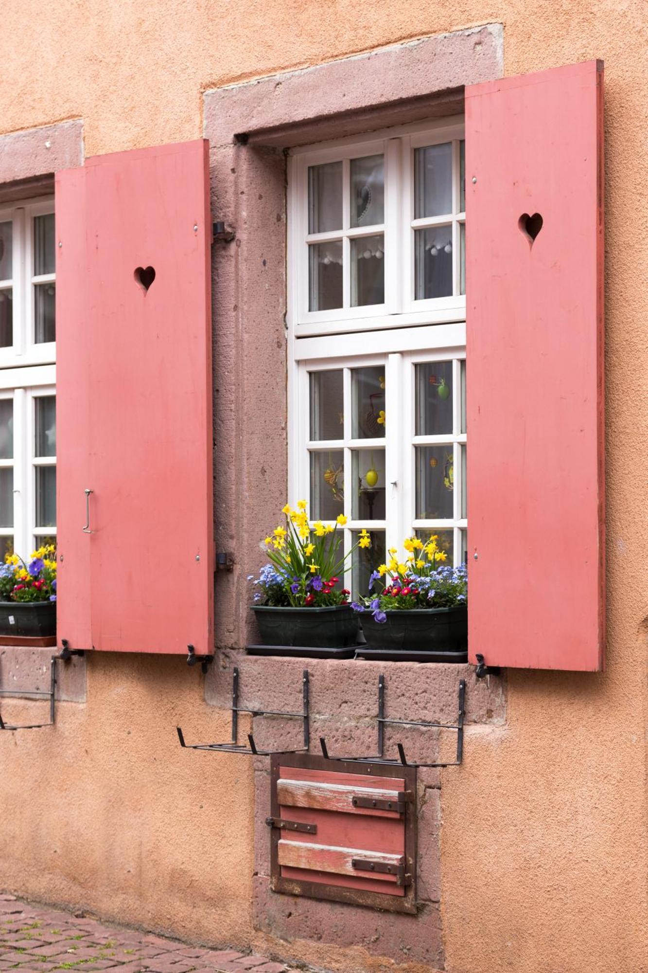 La Maison Des Tanneurs * Ribeauville (Haut-Rhin)
