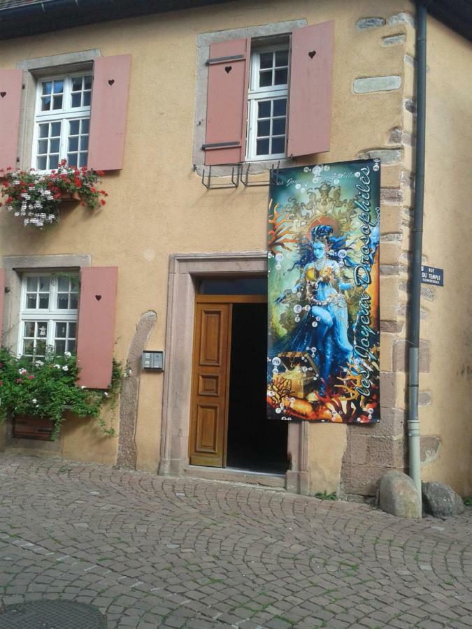 La Maison Des Tanneurs * Ribeauvillé