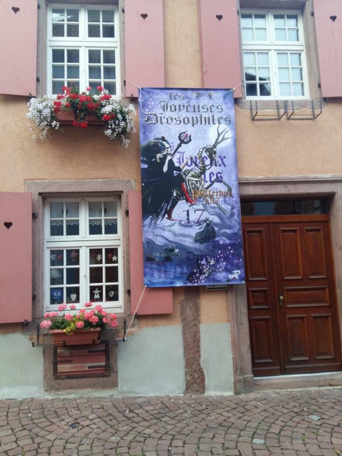 Hébergement de vacances La Maison Des Tanneurs *