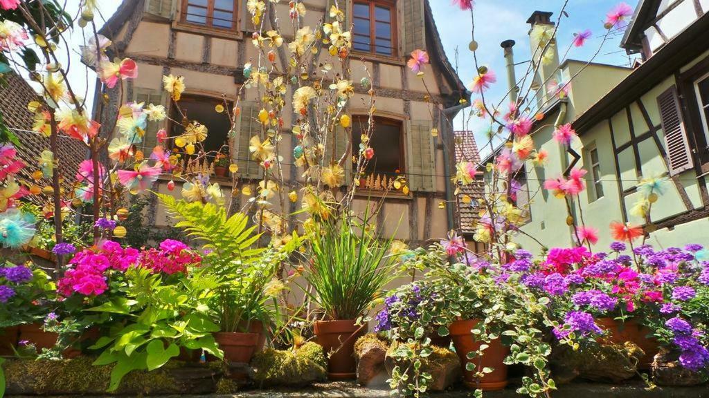 Hébergement de vacances La Maison Des Tanneurs