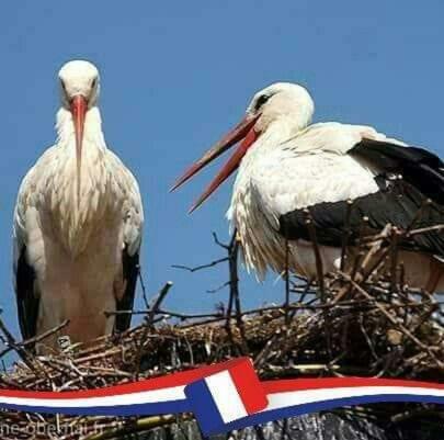 La Maison Des Tanneurs Hébergement de vacances