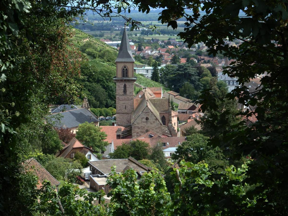 La Maison Des Tanneurs * Ribeauville (Haut-Rhin)